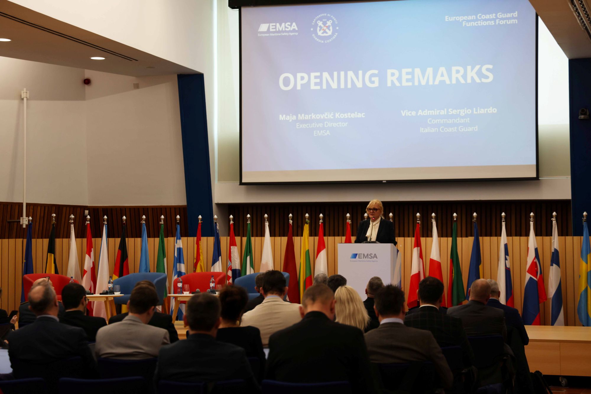 ECGFF EMSA workshop 2026